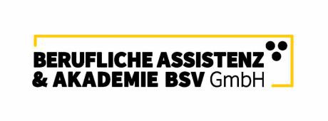 berufliche-assistenz-und-akademie-bsv-gmbh